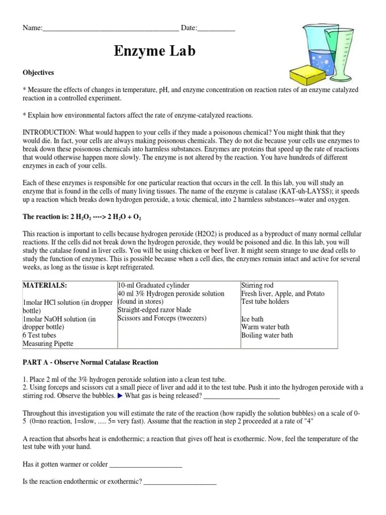 Enzyme Liver Lab Catalase Ph