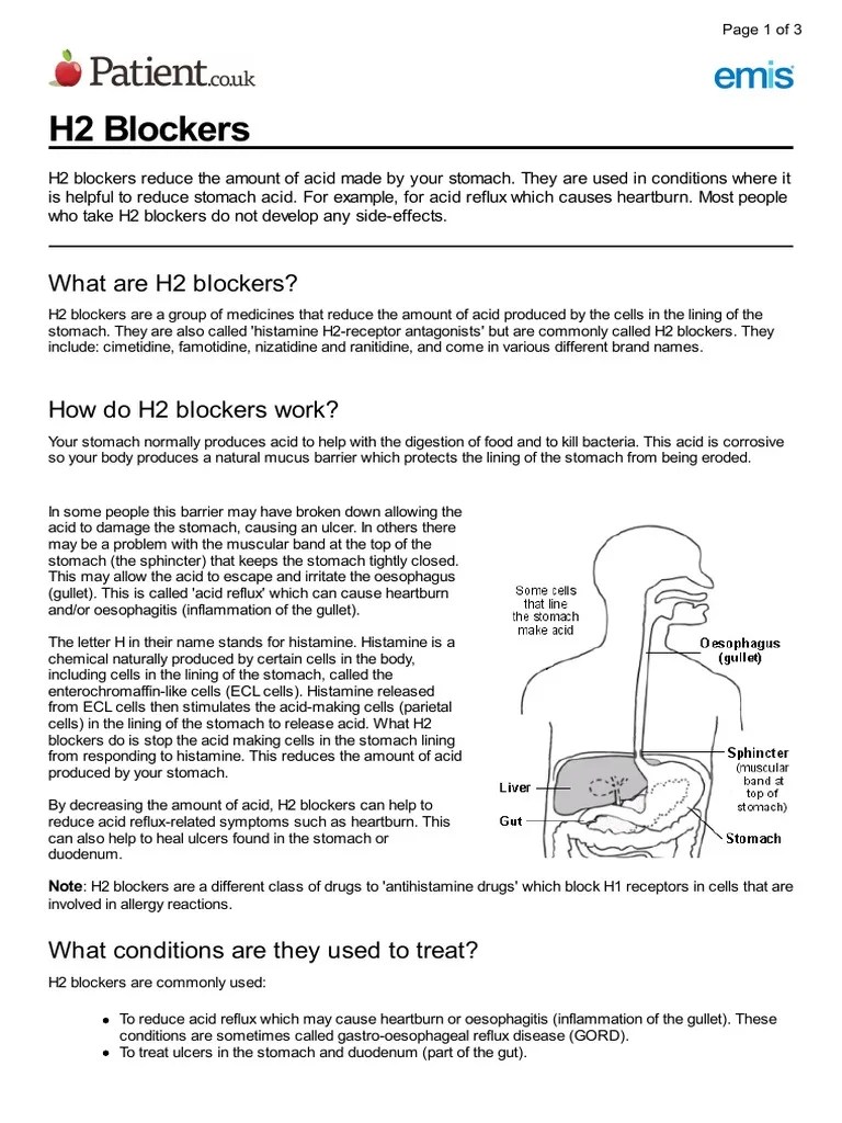 What Are H2 Blockers? PDF Peptic Ulcer Gastroesophageal Reflux