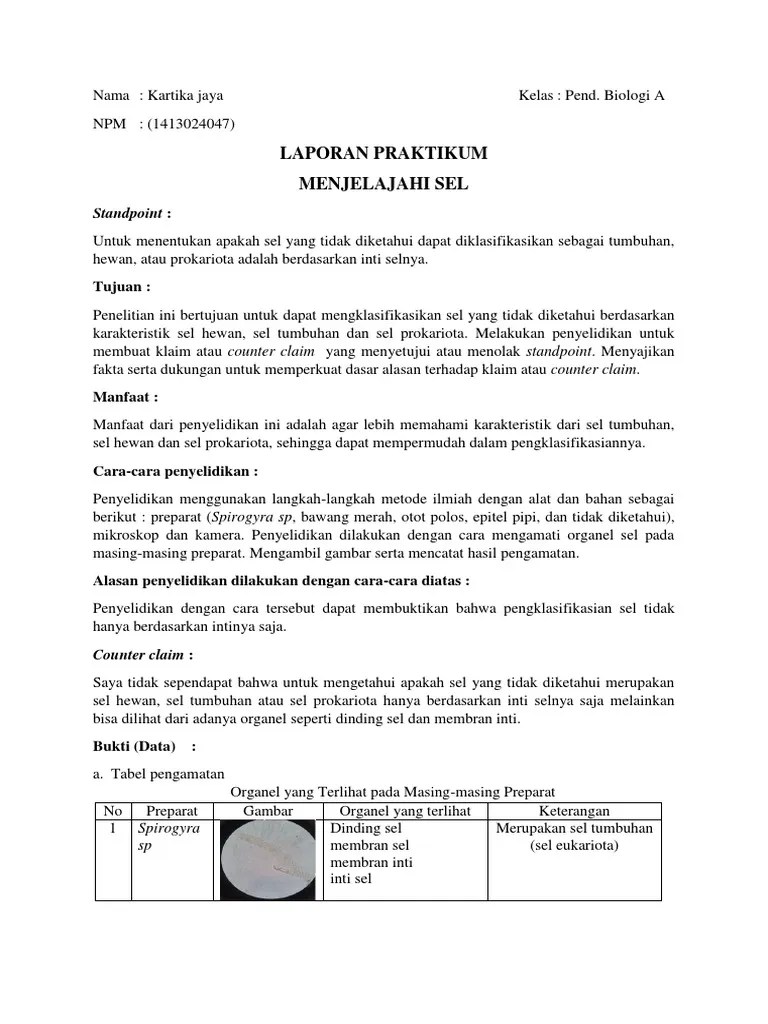 Laporan Praktikum Biologi Sel Tumbuhan Pdf - Seputar Laporan