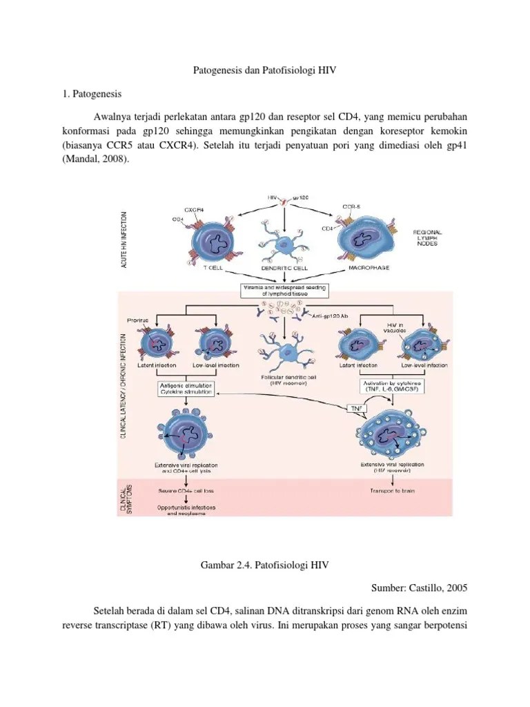 Patogenesis Dan Patofisiologi HIV