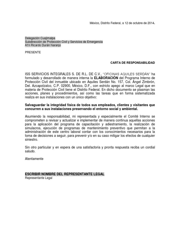 Formato Carta de Responsabilidad.docx