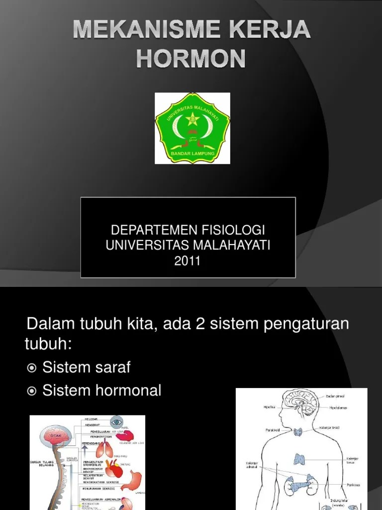 Mekanisme kerja hormon .ppt