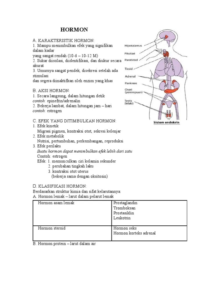 Hormon | PDF