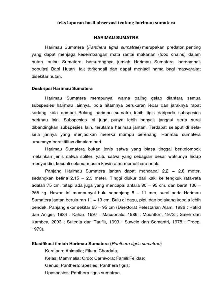 16+ Contoh Teks Eksplanasi Tentang Hewan Punah
