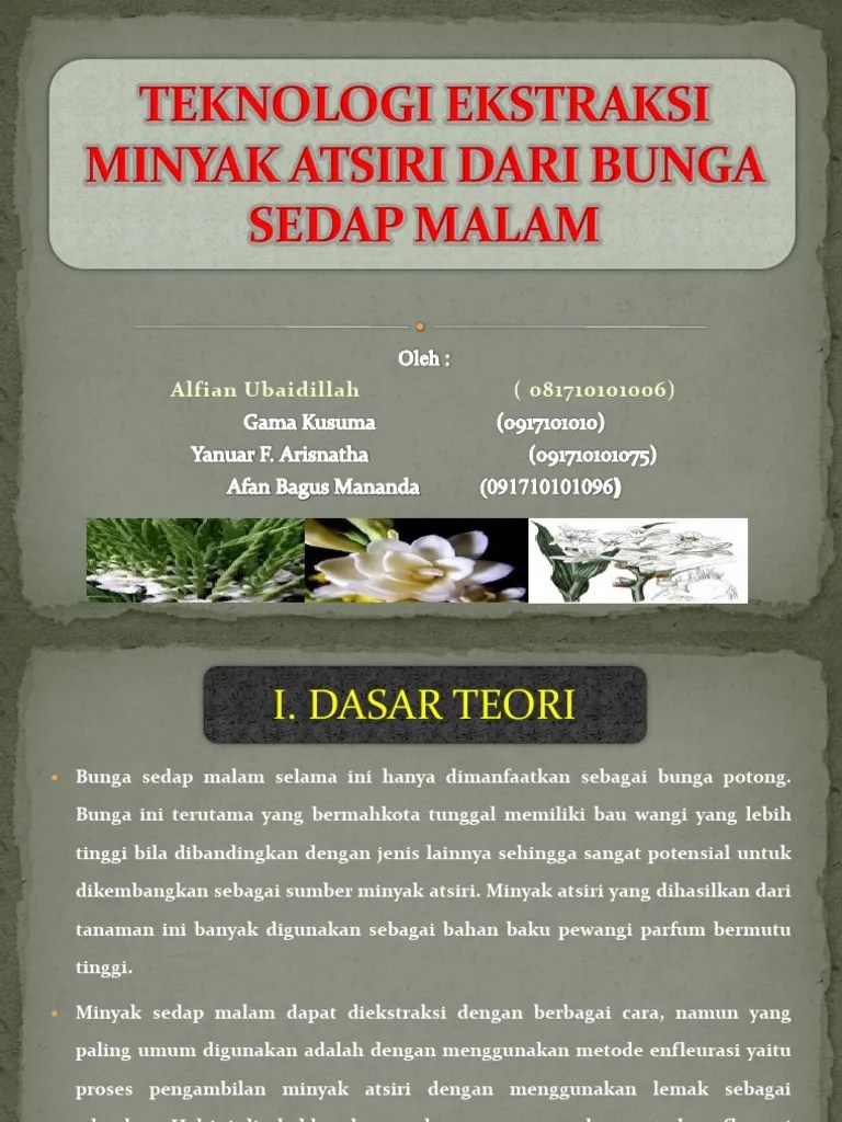Teknologi Ekstraksi Minyak Atsiri Dari Bunga Sedap Malam