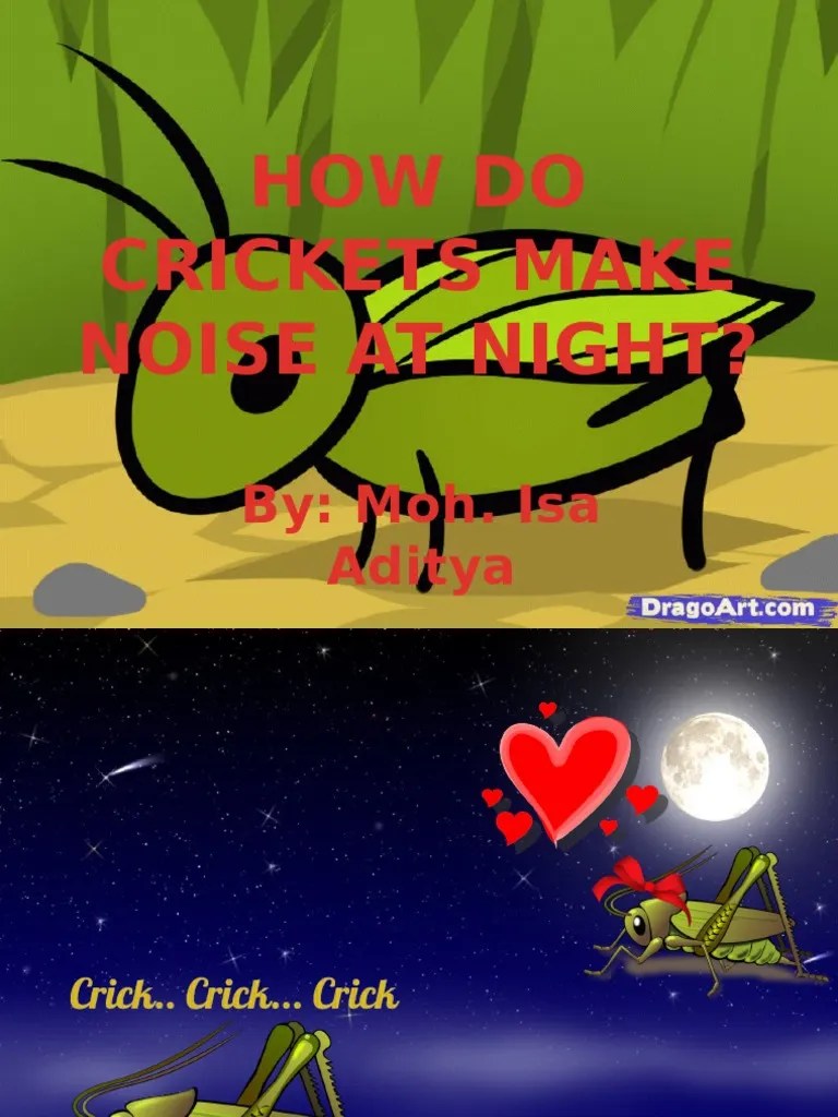 How Do Crickets Make Noise at Night PDF