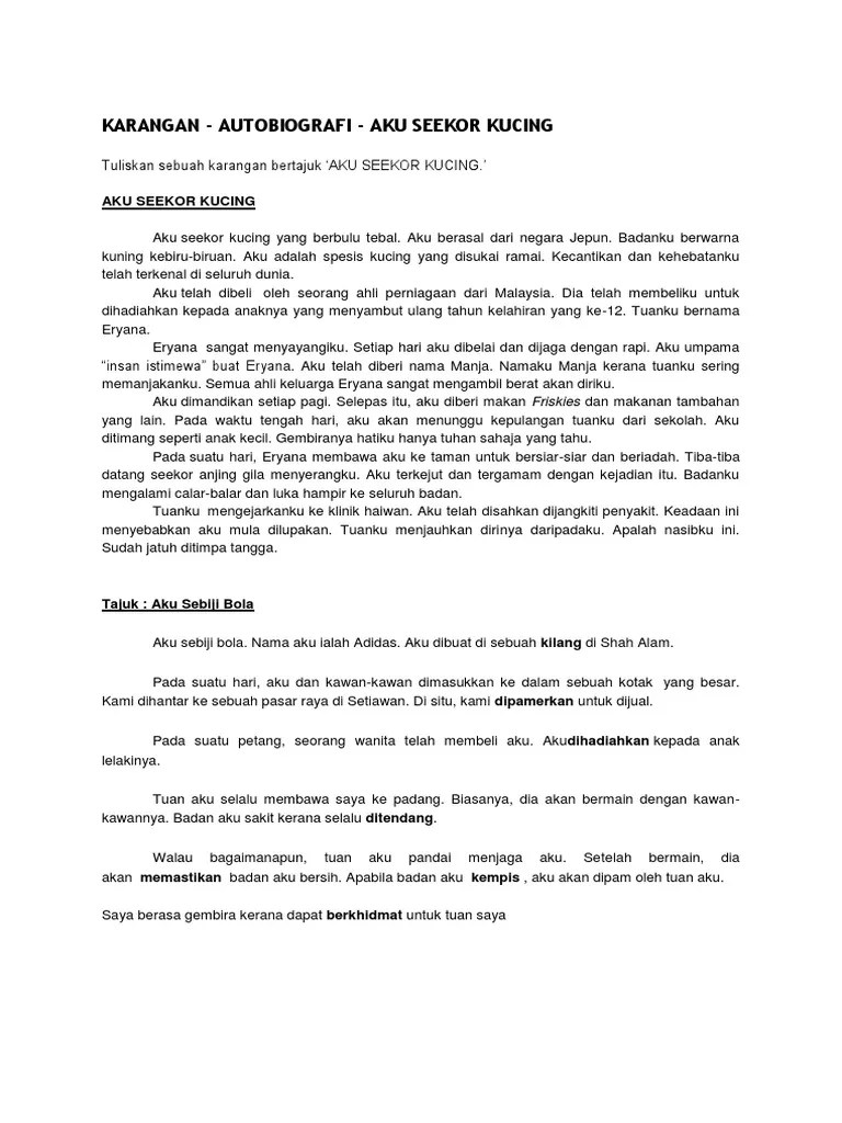 Karangan UPSR Autobiografi | PDF