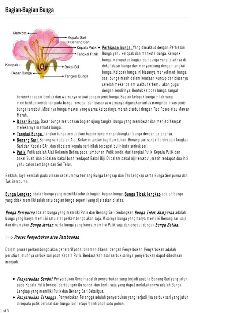 Bagian Bagian Bunga | PDF