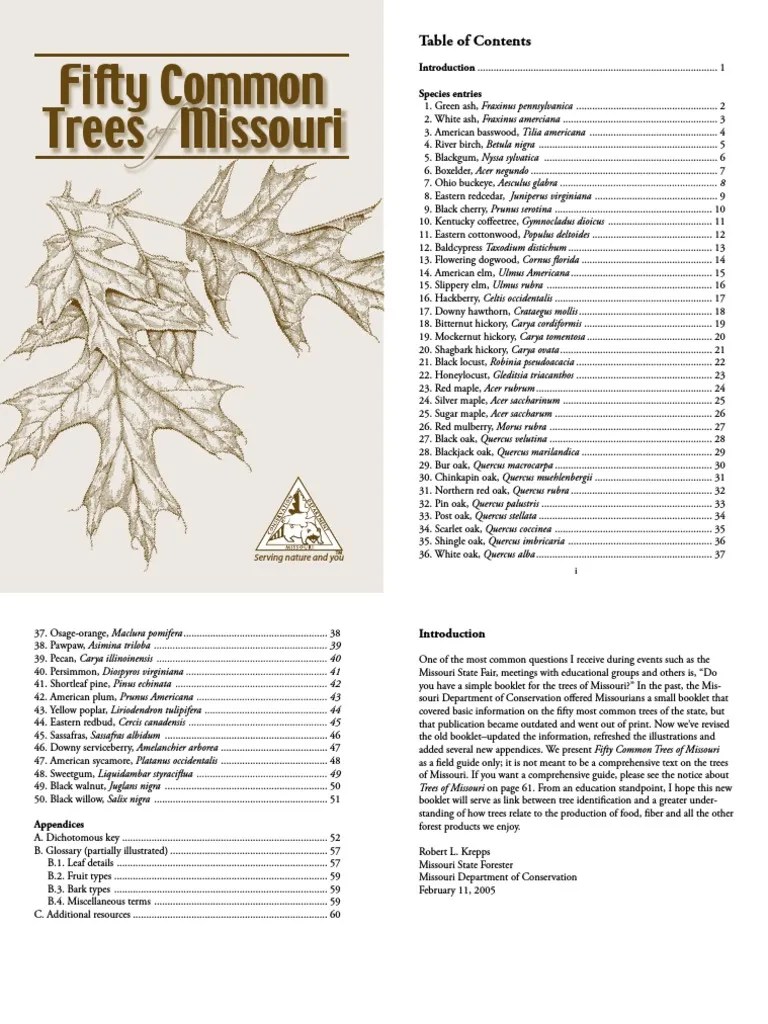 50 Common Trees of Missouri Trees Oak