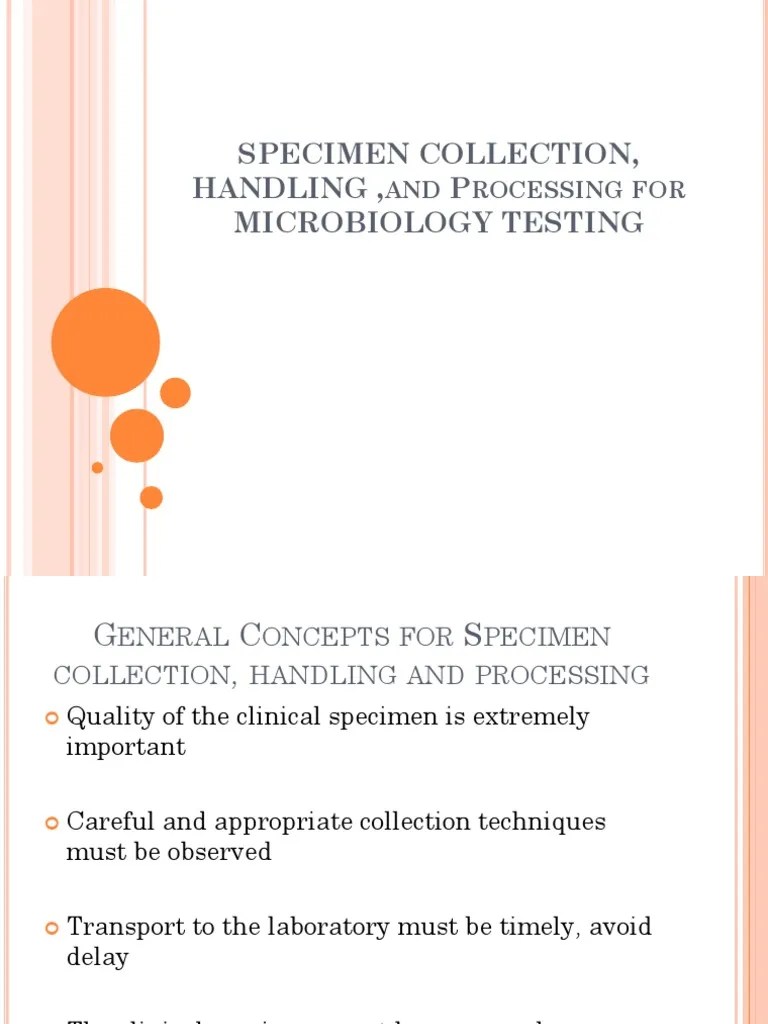 SPECIMEN COLLECTION and Processing For BACTERIOLOGY PDF PDF