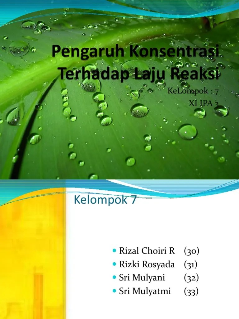 Pengaruh Konsentrasi Terhadap Laju Reaksi | PDF