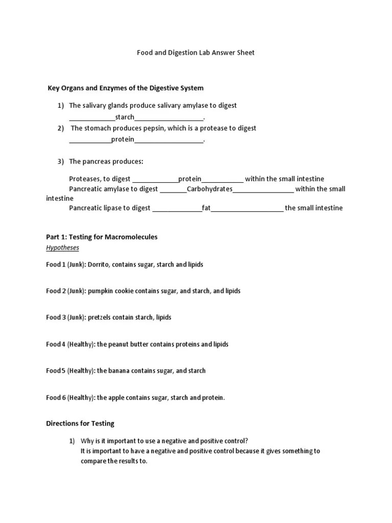 food and digestion lab answer sheet Digestion Stomach