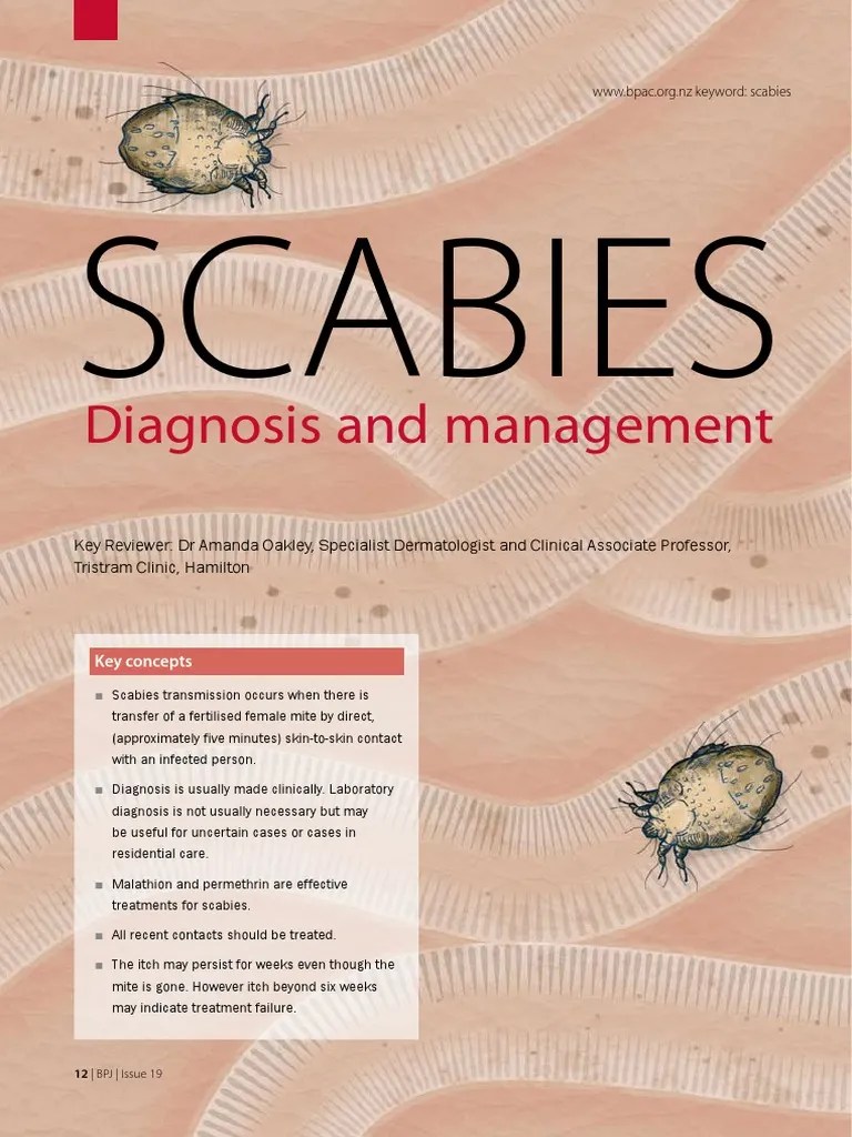 Scabies PDF