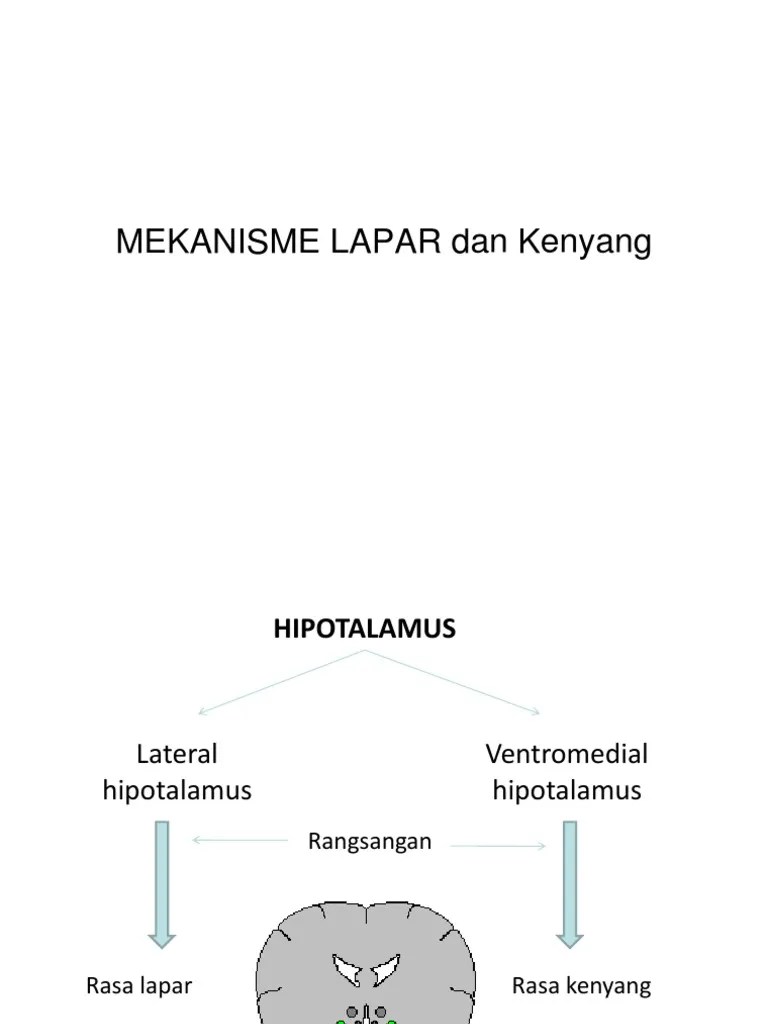 Mekanisme Lapar Dan Kenyang
