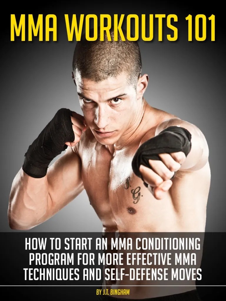 Mma Workouts 101 Guide Revised Aerobic Exercise Mixed Martial Arts