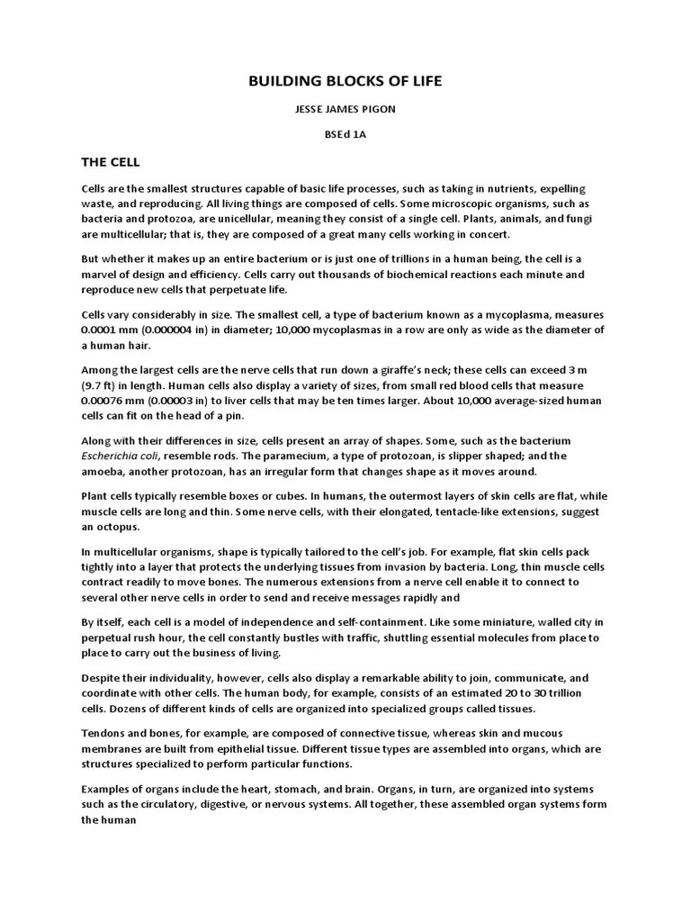 Building Blocks of Life PDF Cell (Biology) Eukaryotes