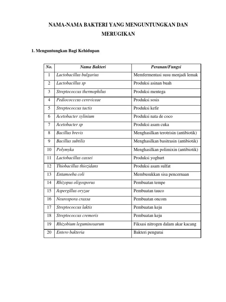 Peranan Bakteri Yang Menguntungkan Dan Merugikan – Kami