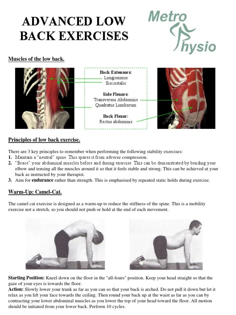Advanced Low Back Exercises Pelvis Human Anatomy
