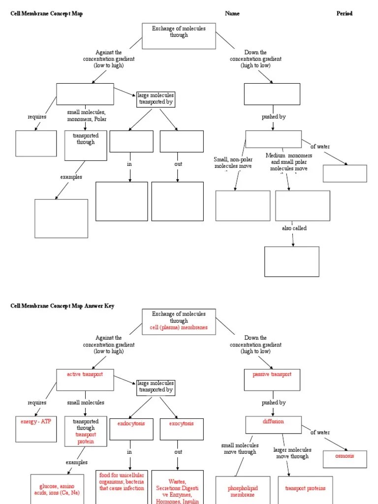 Cell Concept Map Answer cell concept map worksheet answers