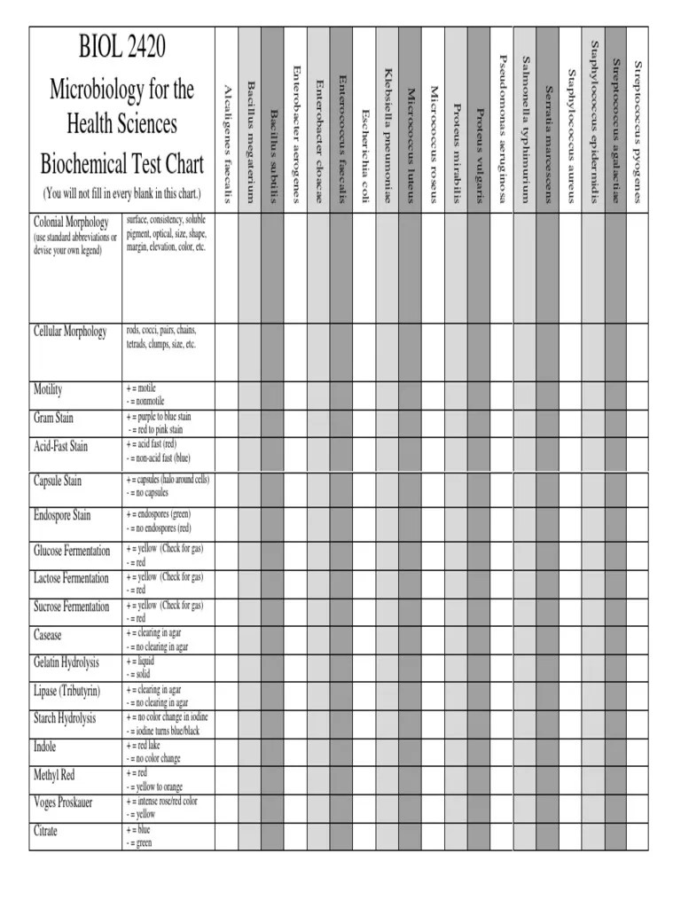 Biochemical Test Chart Microbiology Prokaryote