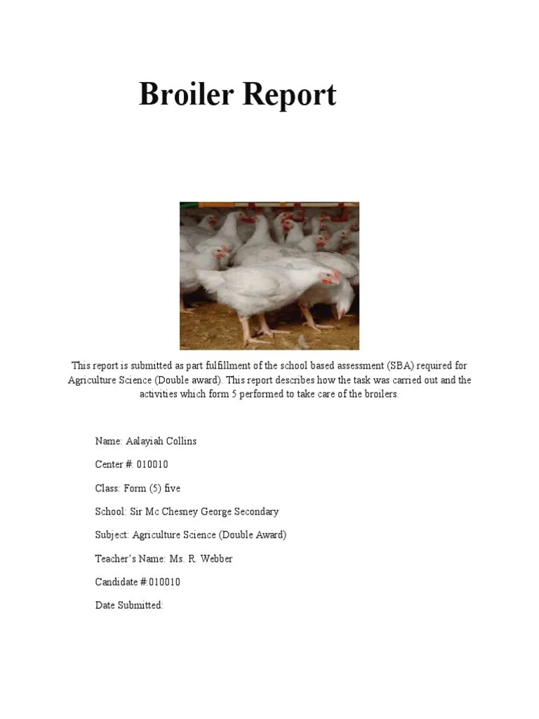 Broiler Report Chicken Animal Feed