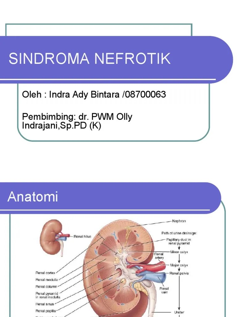 Riview SindromNefrotik