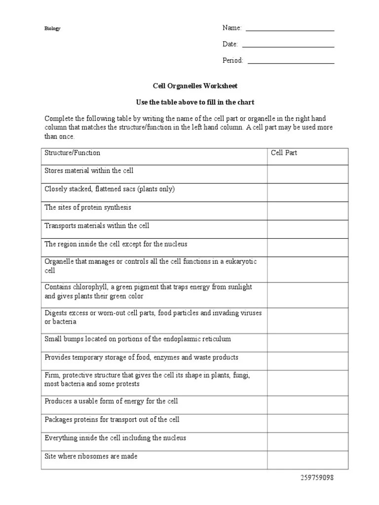 Cell Structure And Function Worksheet – E Street Light