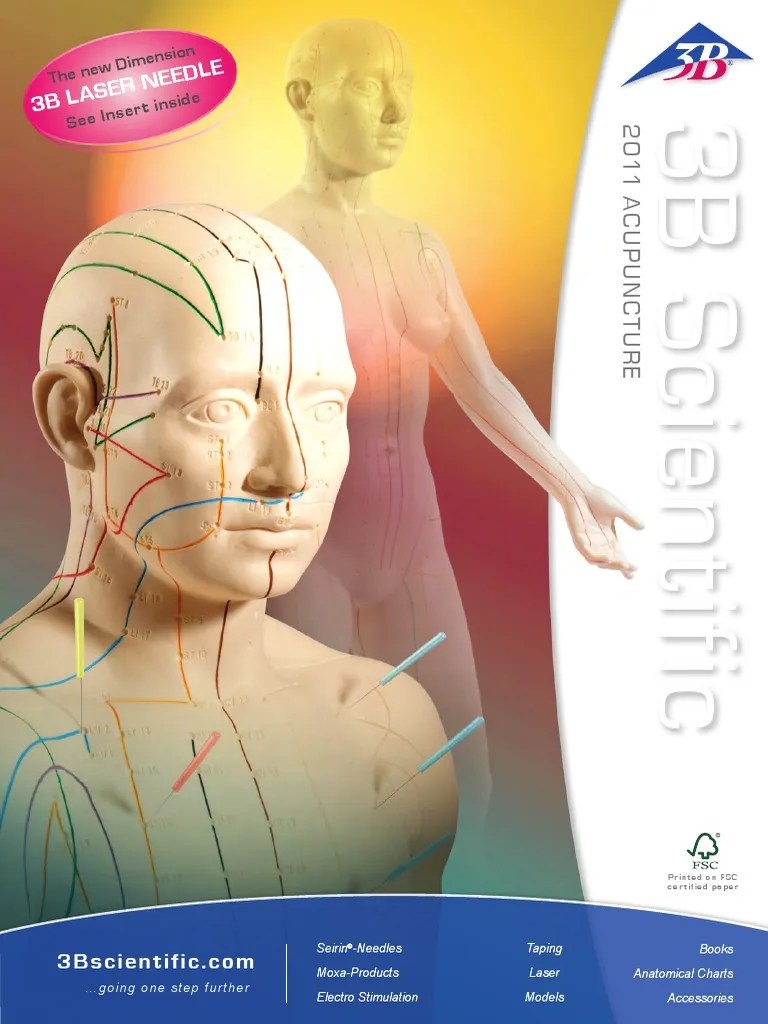 3B_acupuncture.pdf