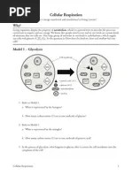 nutrient cycles pogil-natalia | Carbon Dioxide In Earth's Atmosphere
