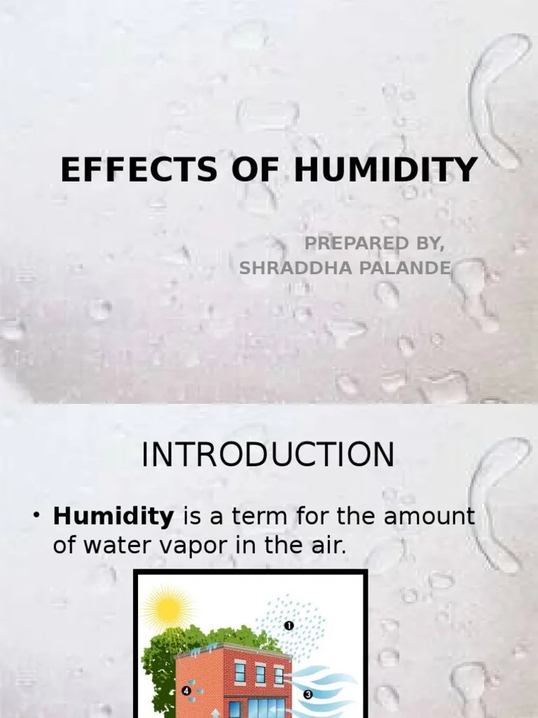 Effects of Humidity Humidity Basement Free 30day