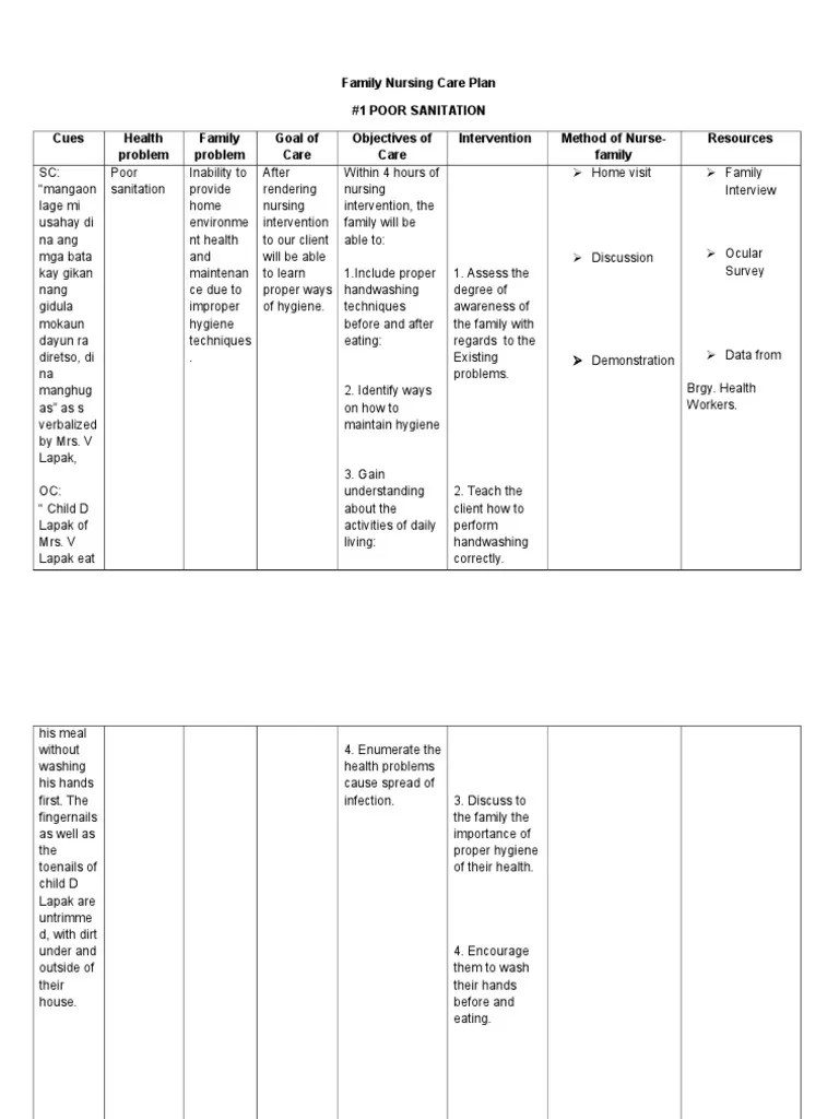 Family Nursing Care Plan Hand Washing Hygiene