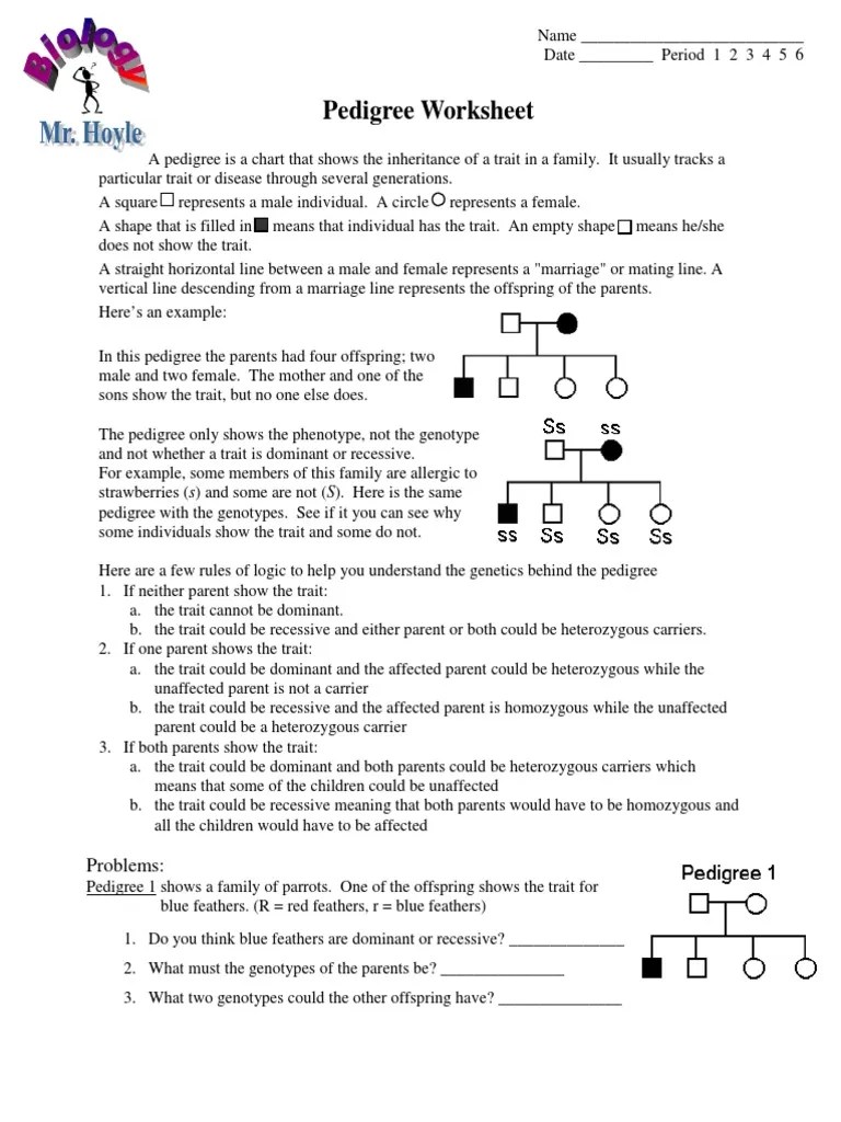 A Human Pedigree Answer Key Http Webersciencewiki Pbworks Com W File