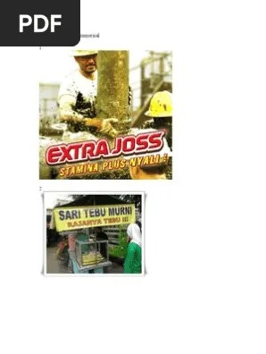 10 Contoh Reklame Komersial | PDF