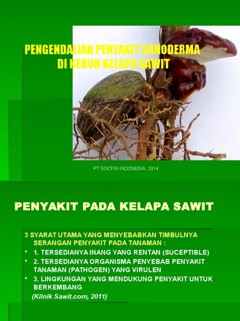 Pengendalian Penyakit Ganoderma Di Kebun Kelapa Sawit. New PDF