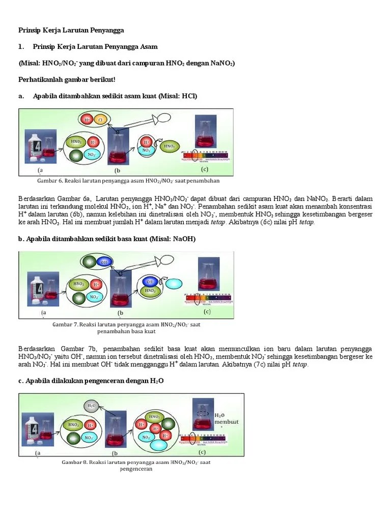 Larutan Penyangga | PDF