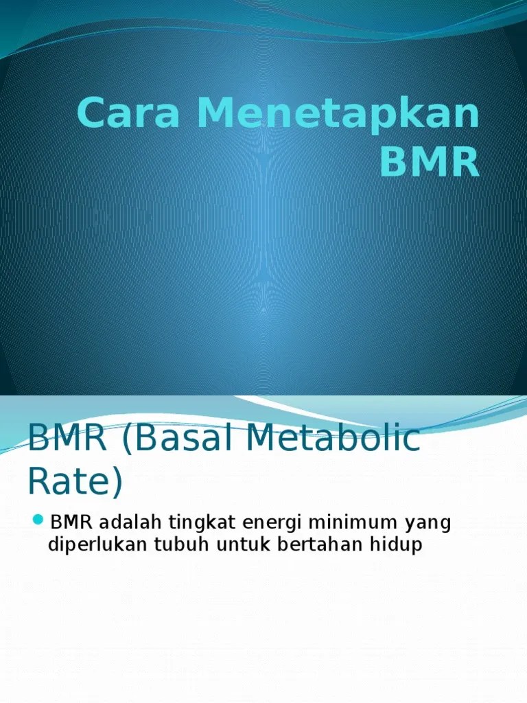 Cara Menetapkan BMR | PDF