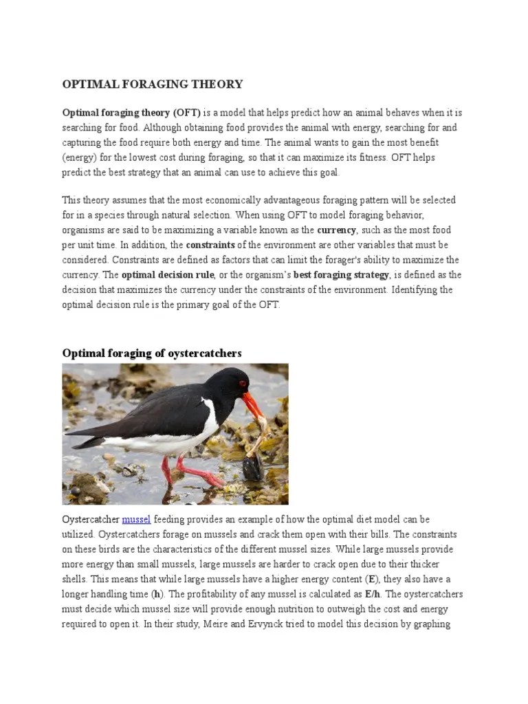 Optimal Foraging Theory Foraging Behavioural Sciences