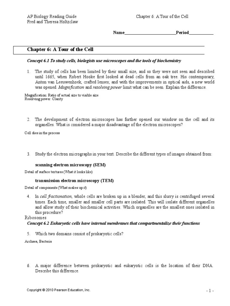 (374135792) Chapter 6 Tour of the Cell Endoplasmic Reticulum