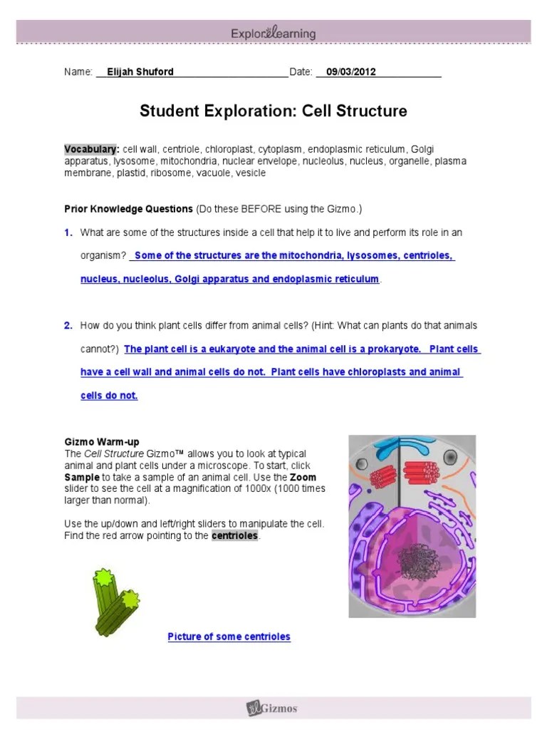 Ideas about cell structure have changed considerably over the years. Module1 Lesson1 Cellstrucgizmo Shuford Eukaryotes Biology