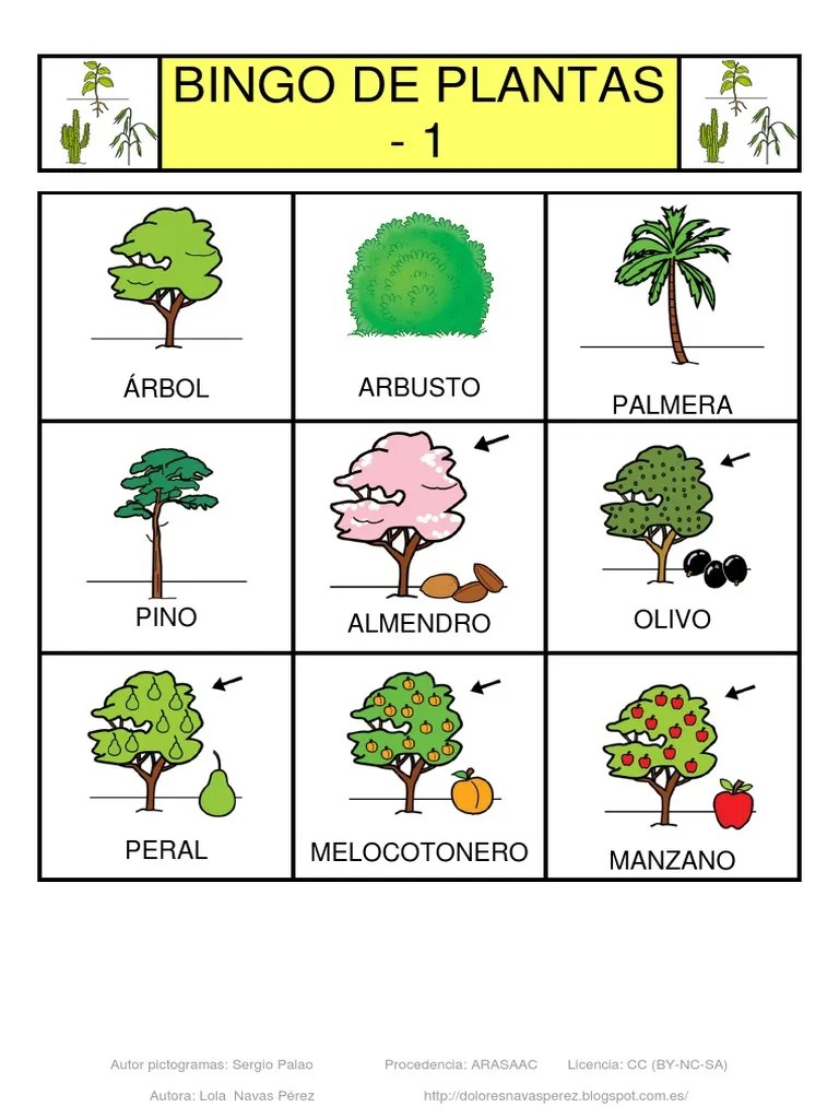Bingo de Plantas Pictos