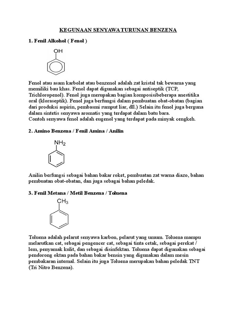 Senyawa Turunan Benzena | PDF