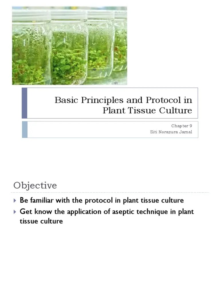Basic Principles and Protocol in Plant Tissue Culture PDF Growth