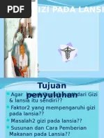 Materi Penyuluhan Kebutuhan Gizi Pada Lansia | PDF