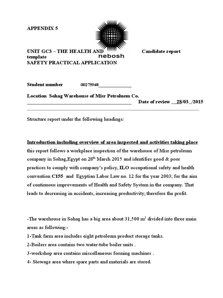 04_GC3 Candidate Report Template Occupational Safety And Health