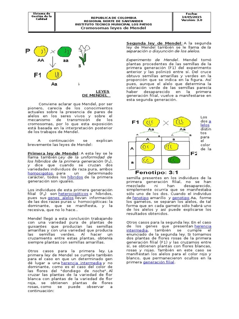 Leyes de Mendel(resumen) Dominancia (Genética) Ciencias de la