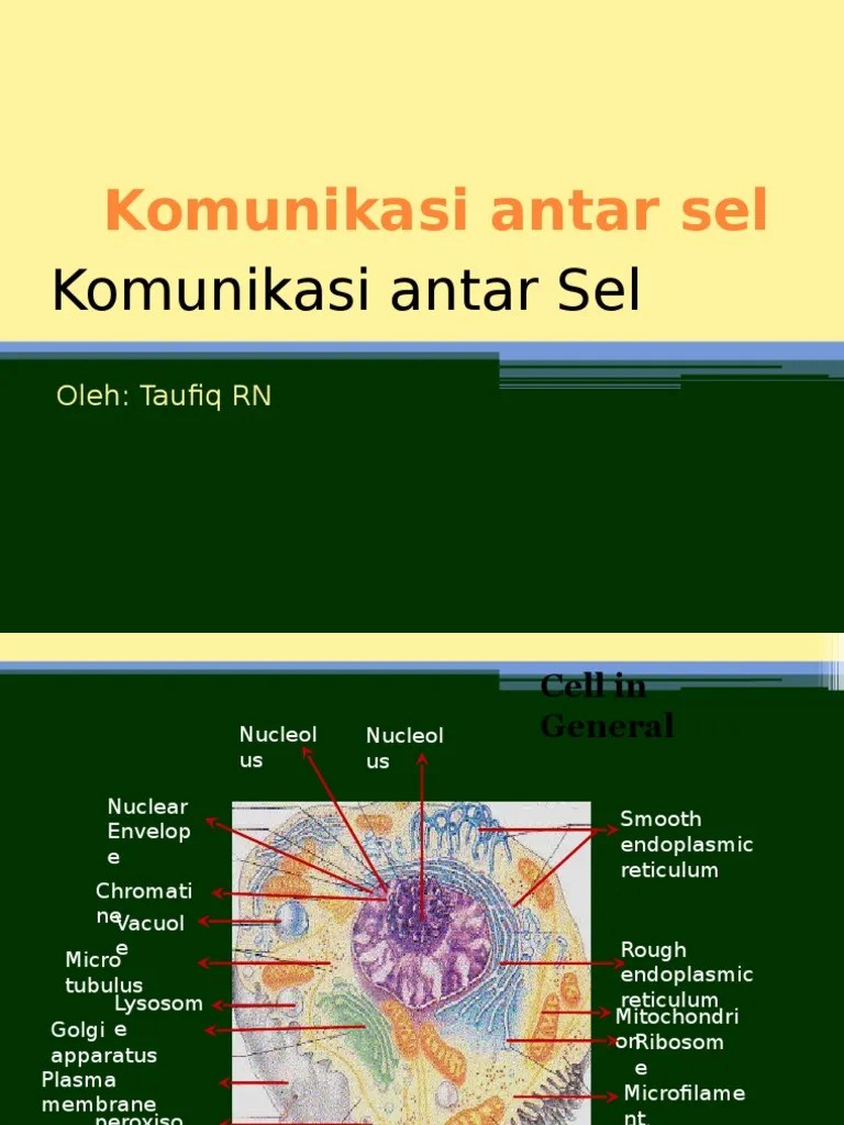Komunikasi Antar Sel.pptx