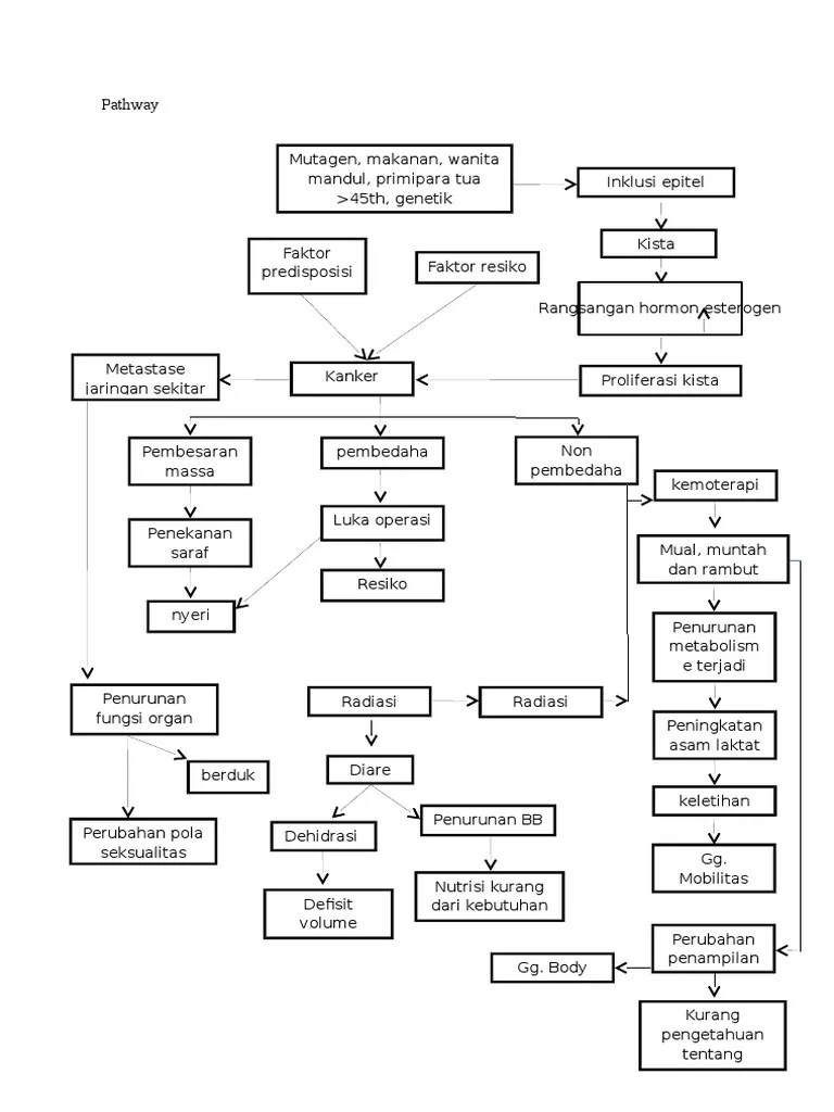 pathway ca ovarium.docx
