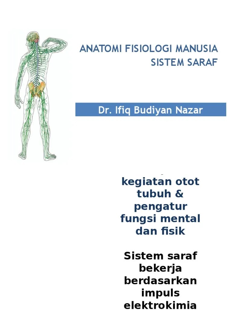 Anatomi Fisiologi Sistem Saraf