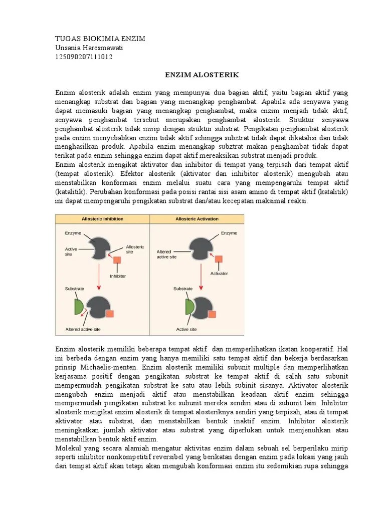 tugas enzim alosterik