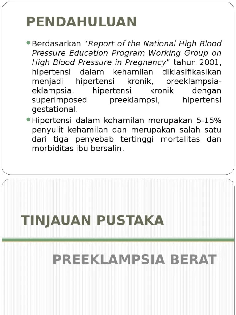 Preeklampsia Berat PDF